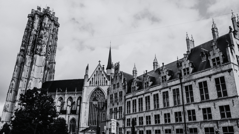 fitness race mechelen