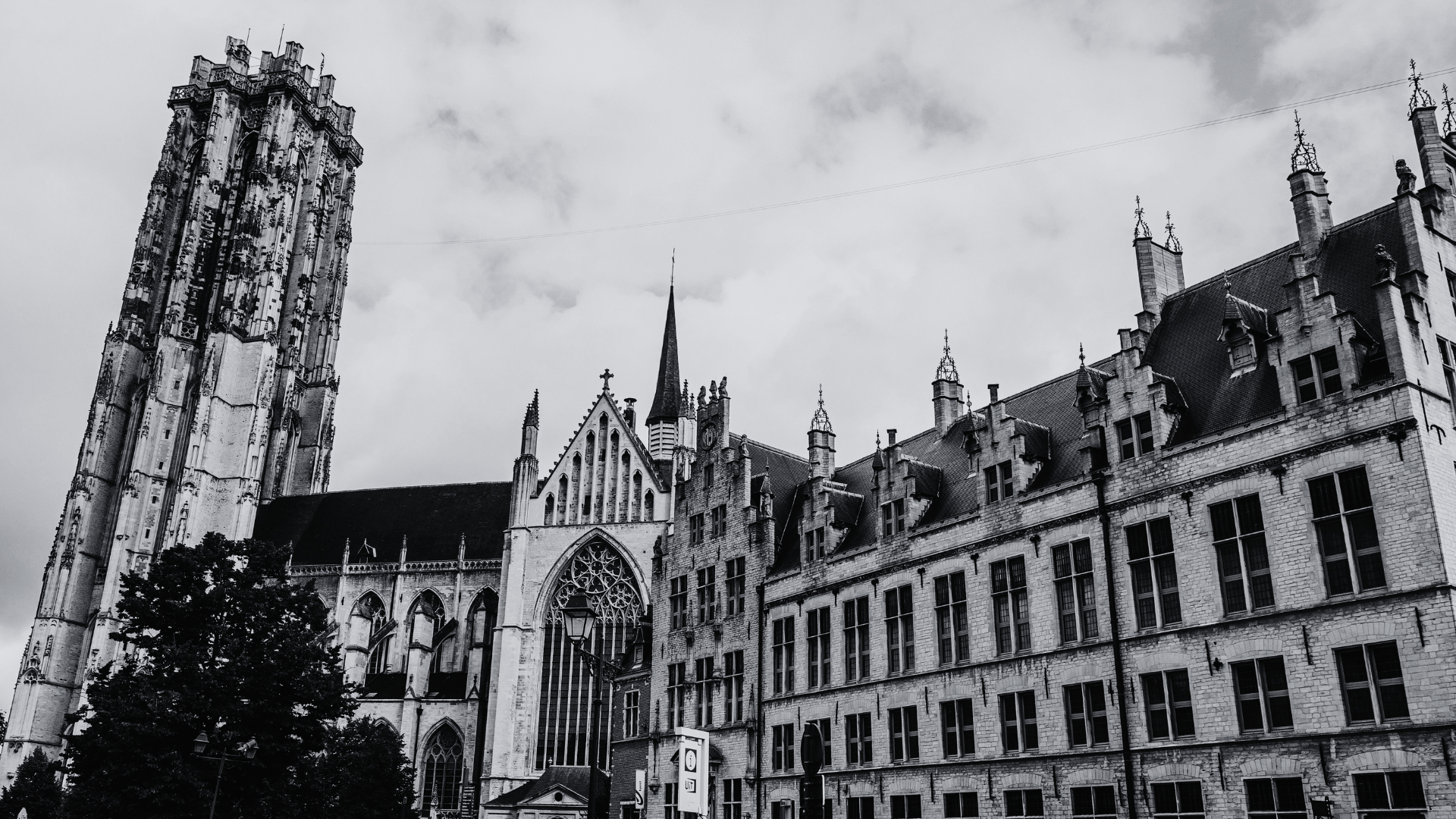 fitness race mechelen